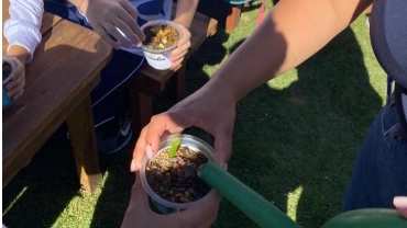 Oficina em Domingos Martins de Plantio de Suculentas